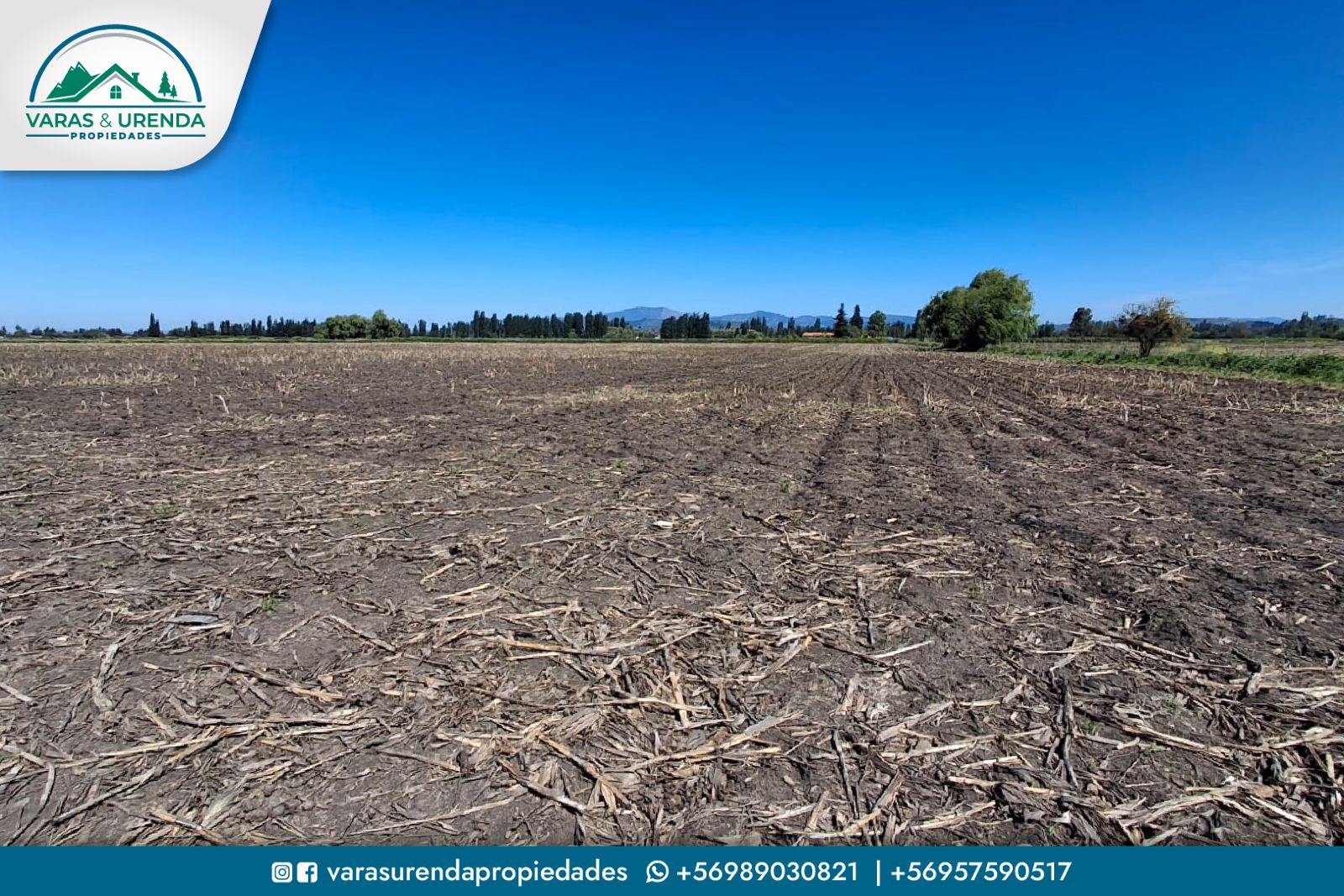 Se Vende campo de 44 hectáreas planas de riego en Villa Alegre, VII Región