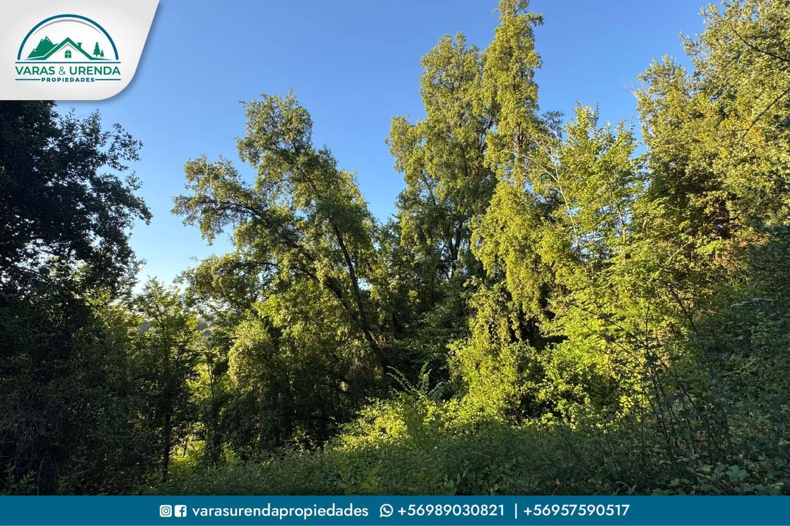Se Vende sitio 5.100 m2 con una vista espectacular en Hacienda Zapallar, Curicó