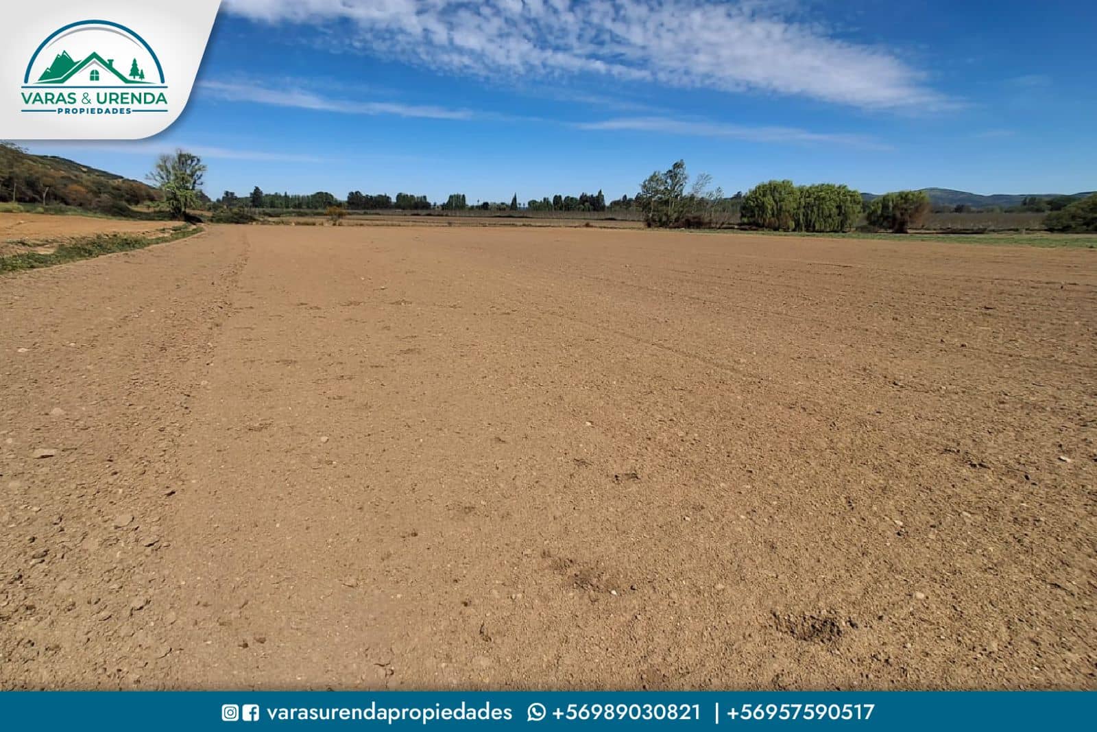 Se Vende campo de 51,7 hectáreas planas de riego en Las Cabras, VII Región