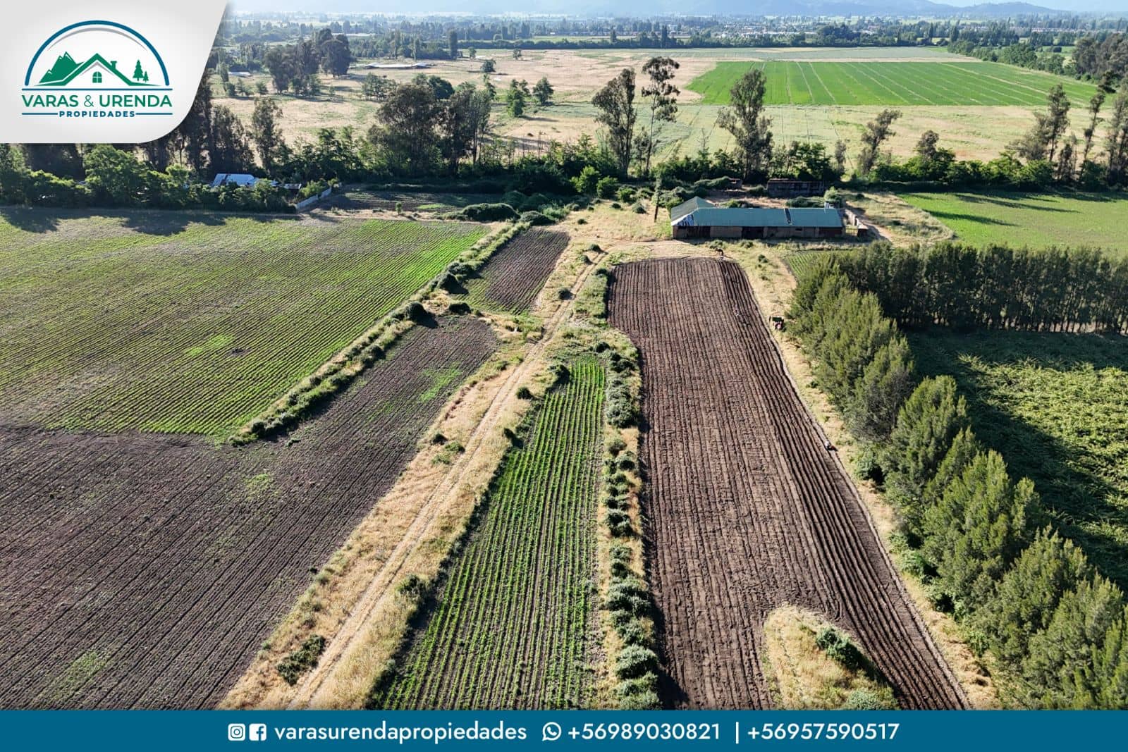Se Vende parcela de 38 hectáreas en Molina, VII Región