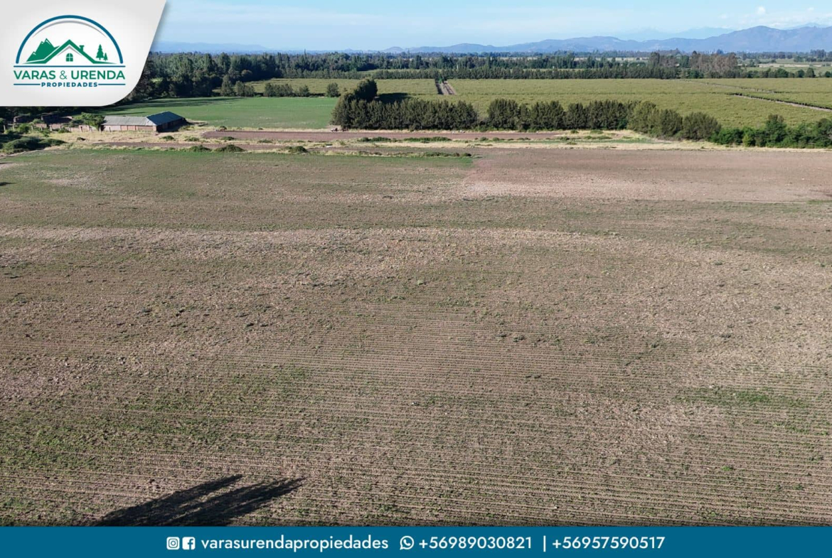 Se Vende parcela de 38 hectáreas en Molina, VII Región