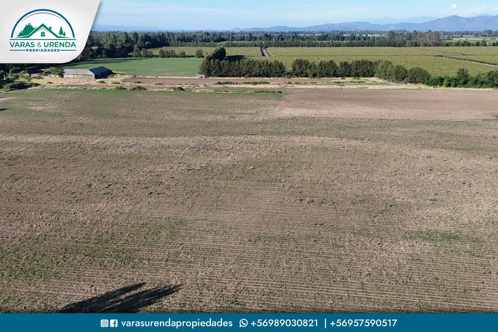 Se Vende parcela de 38 hectáreas en Molina, VII Región