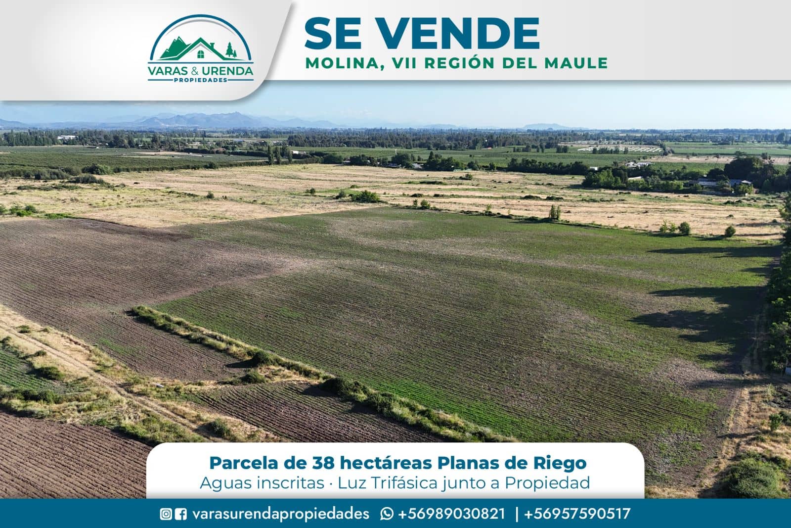 Se Vende parcela de 38 hectáreas en Molina, VII Región