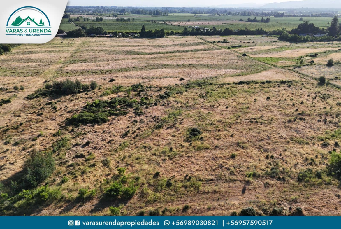 Se Vende parcela de 38 hectáreas en Molina, VII Región