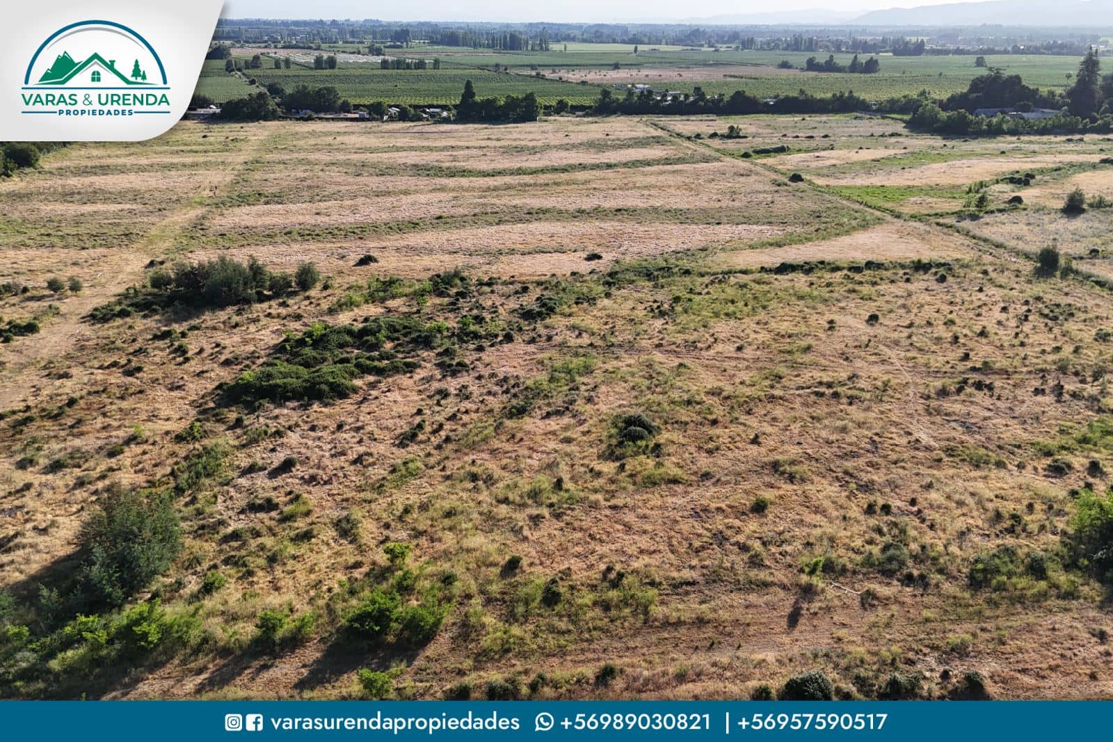 Se Vende parcela de 38 hectáreas en Molina, VII Región