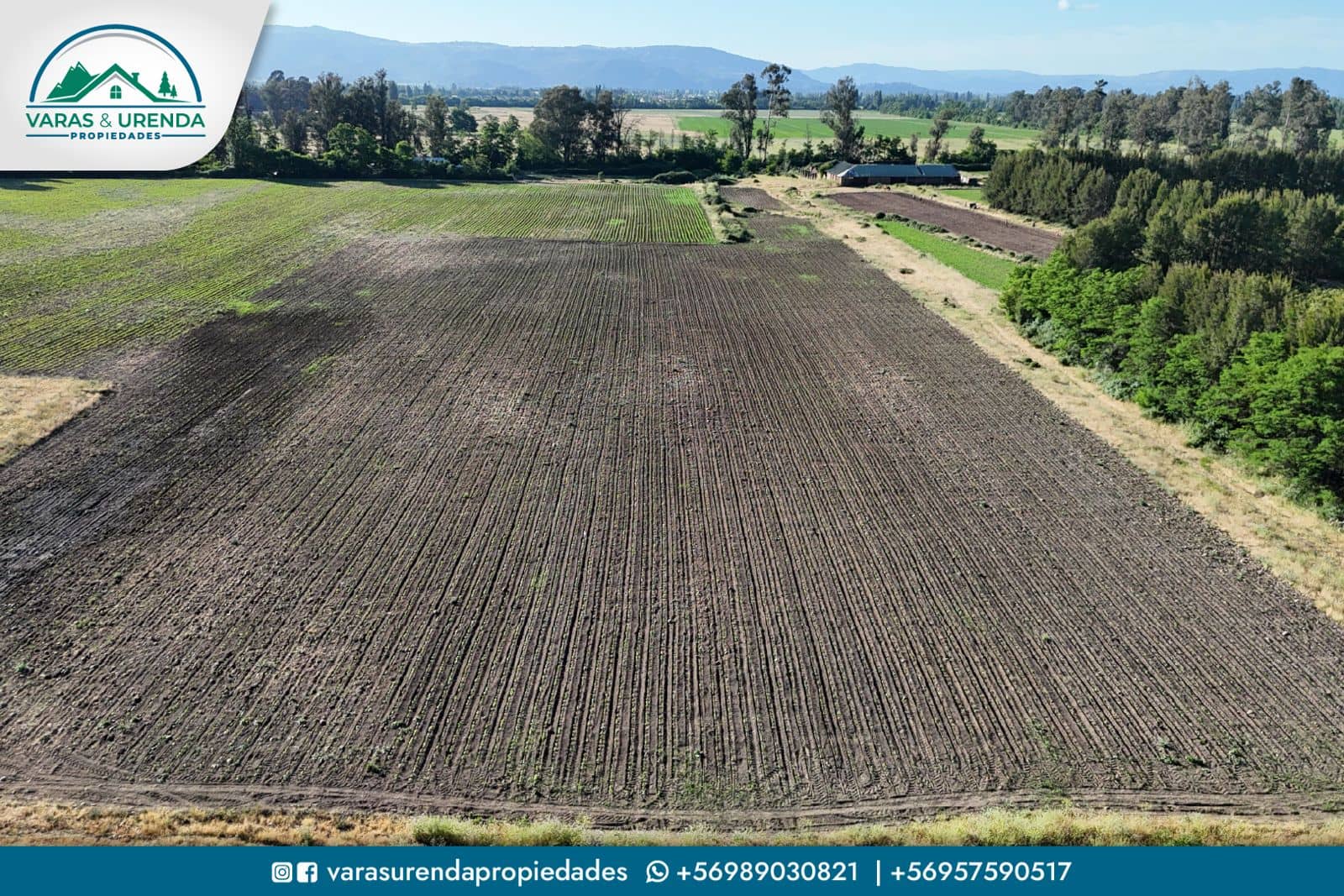 Se Vende parcela de 38 hectáreas en Molina, VII Región