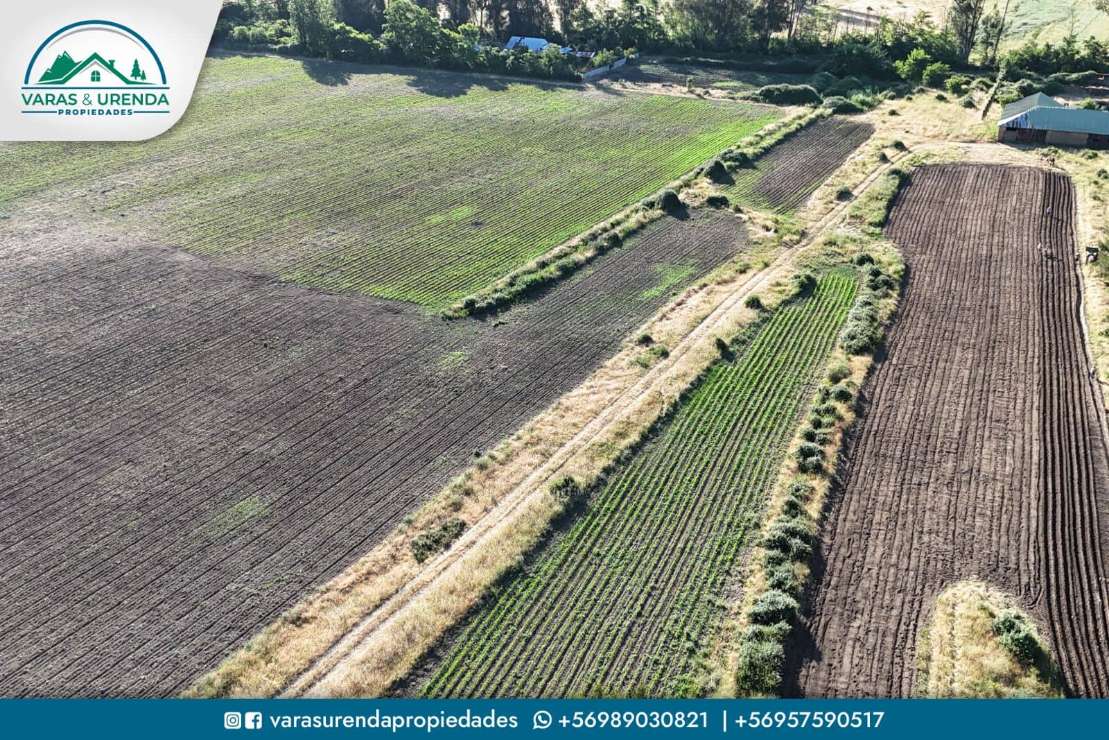 Se Vende parcela de 38 hectáreas en Molina, VII Región