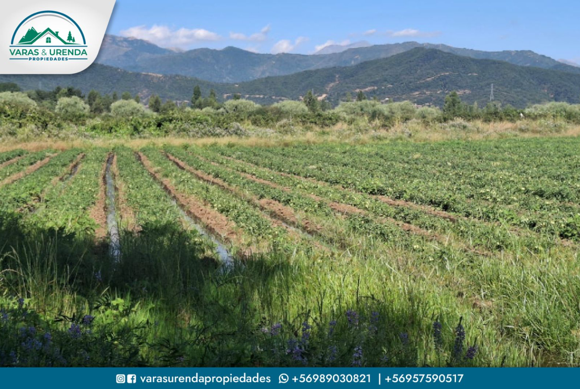 Se Vende campo 60 hectáreas en sector La Montaña de Teno, Curicó