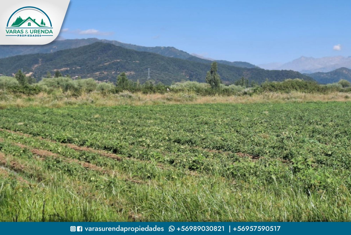 Se Vende campo 60 hectáreas en sector La Montaña de Teno, Curicó