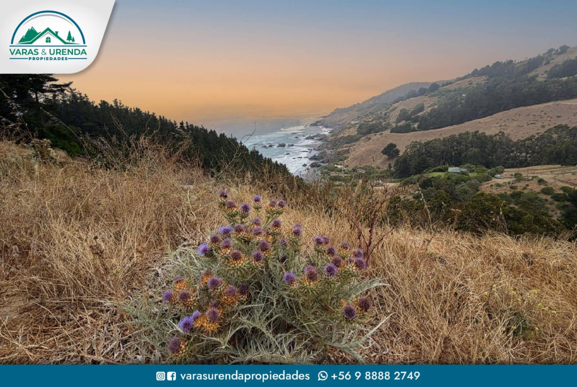 Se Vende lindo sitio de 5.000 m2 en Loteo Trilco, a 12 Km del Lago Vichuquén