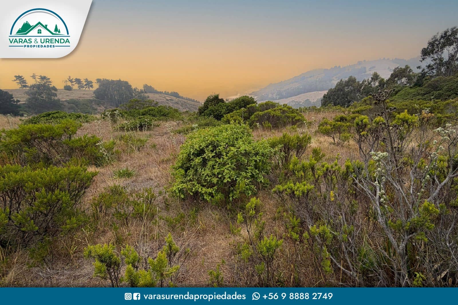 Se Vende lindo sitio de 5.000 m2 en Loteo Trilco, a 12 Km del Lago Vichuquén