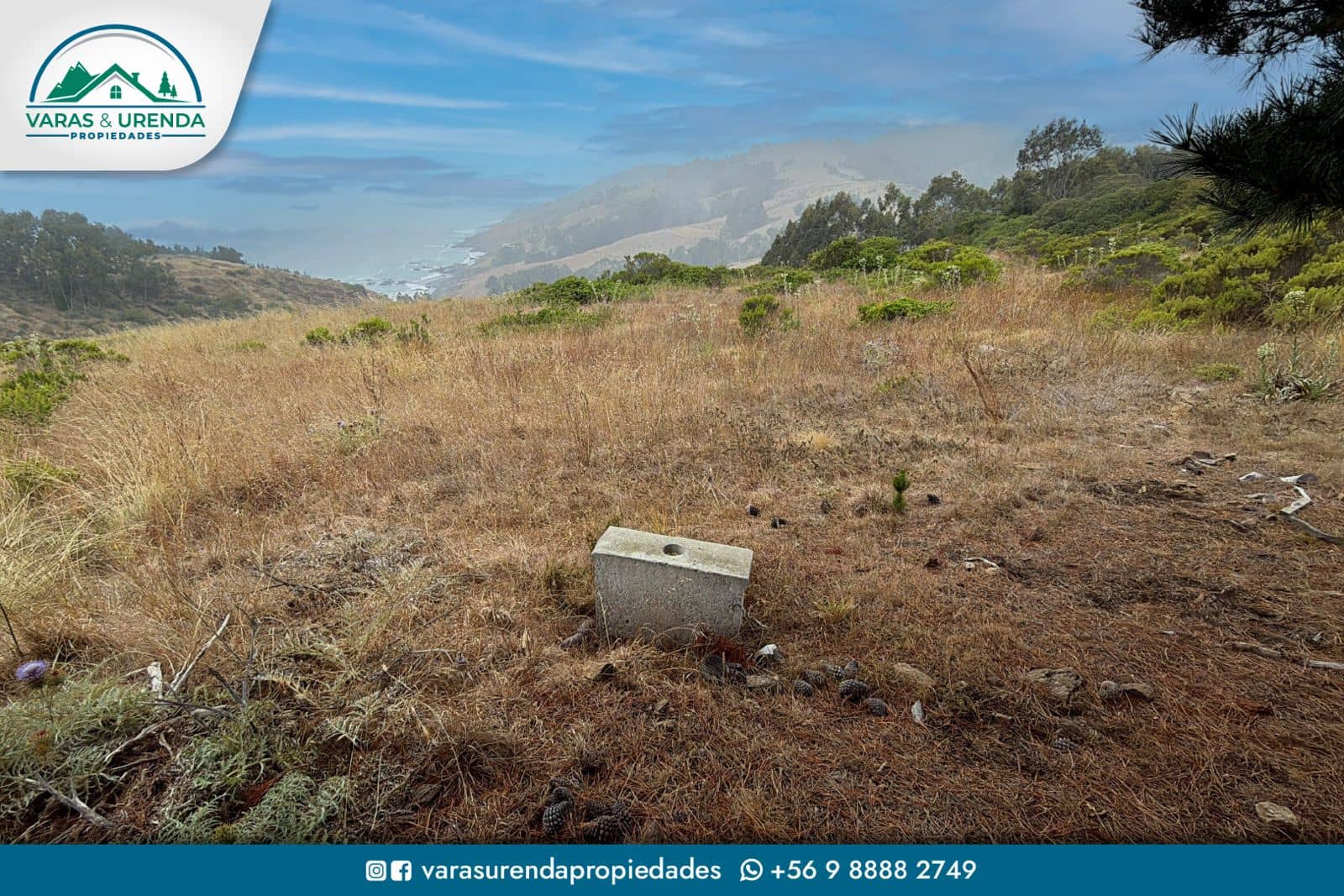 Se Vende lindo sitio de 5.000 m2 en Loteo Trilco, a 12 Km del Lago Vichuquén