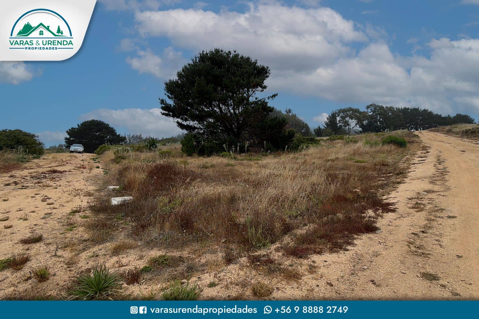 Se Vende lindo sitio de 5.000 m2 en Loteo Trilco, a 12 Km del Lago Vichuquén