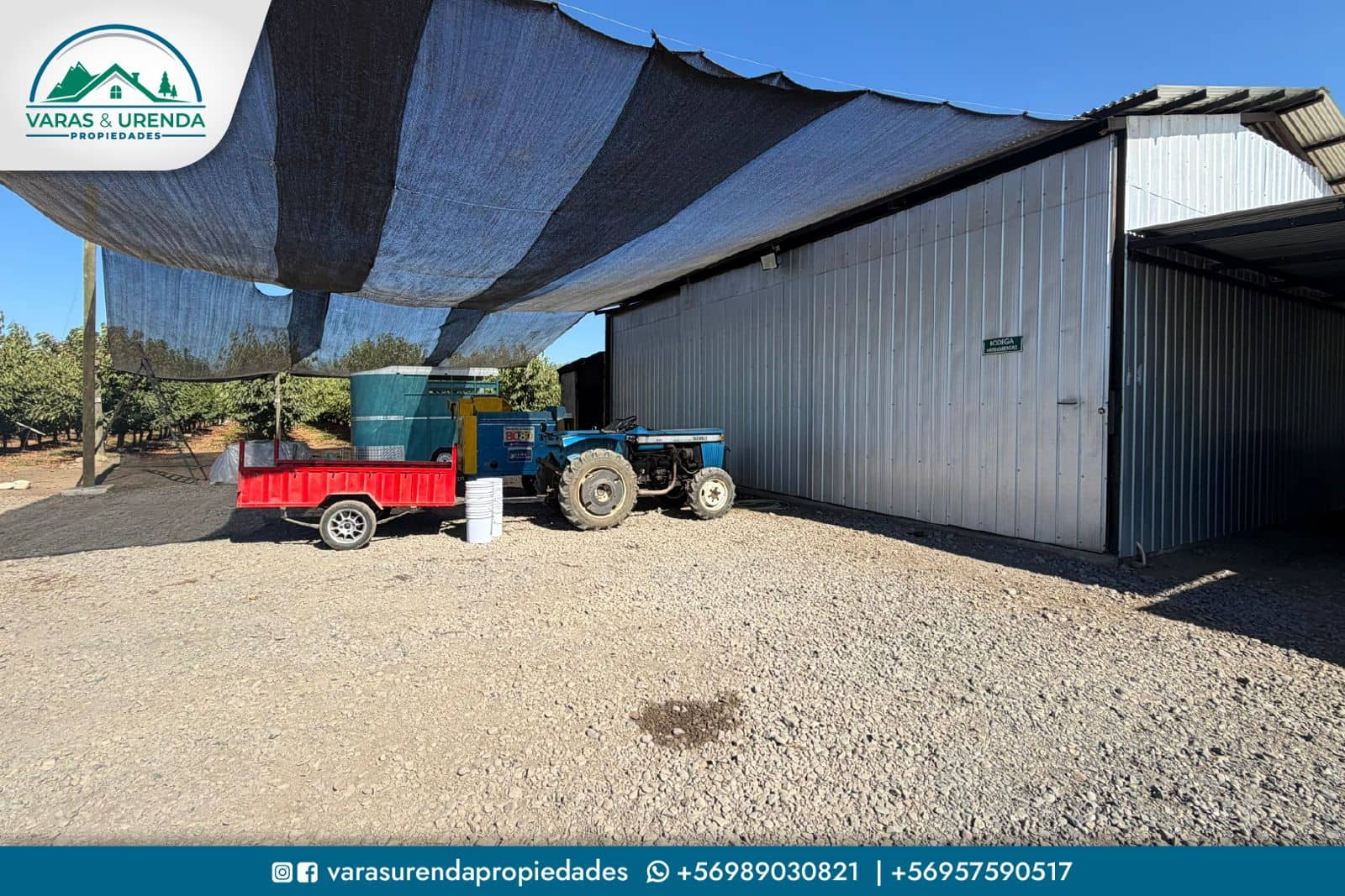 Se Vende campo productivo de 40 hás. en Molina, Curicó