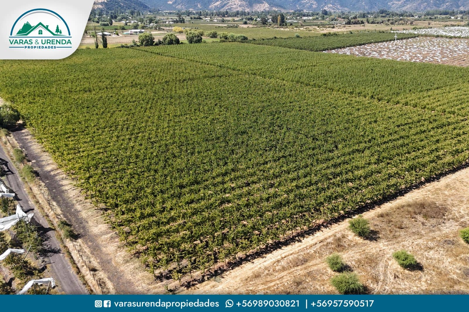 Se Vende parcela de 20,16 hás en Rauco, Sector Quicharco