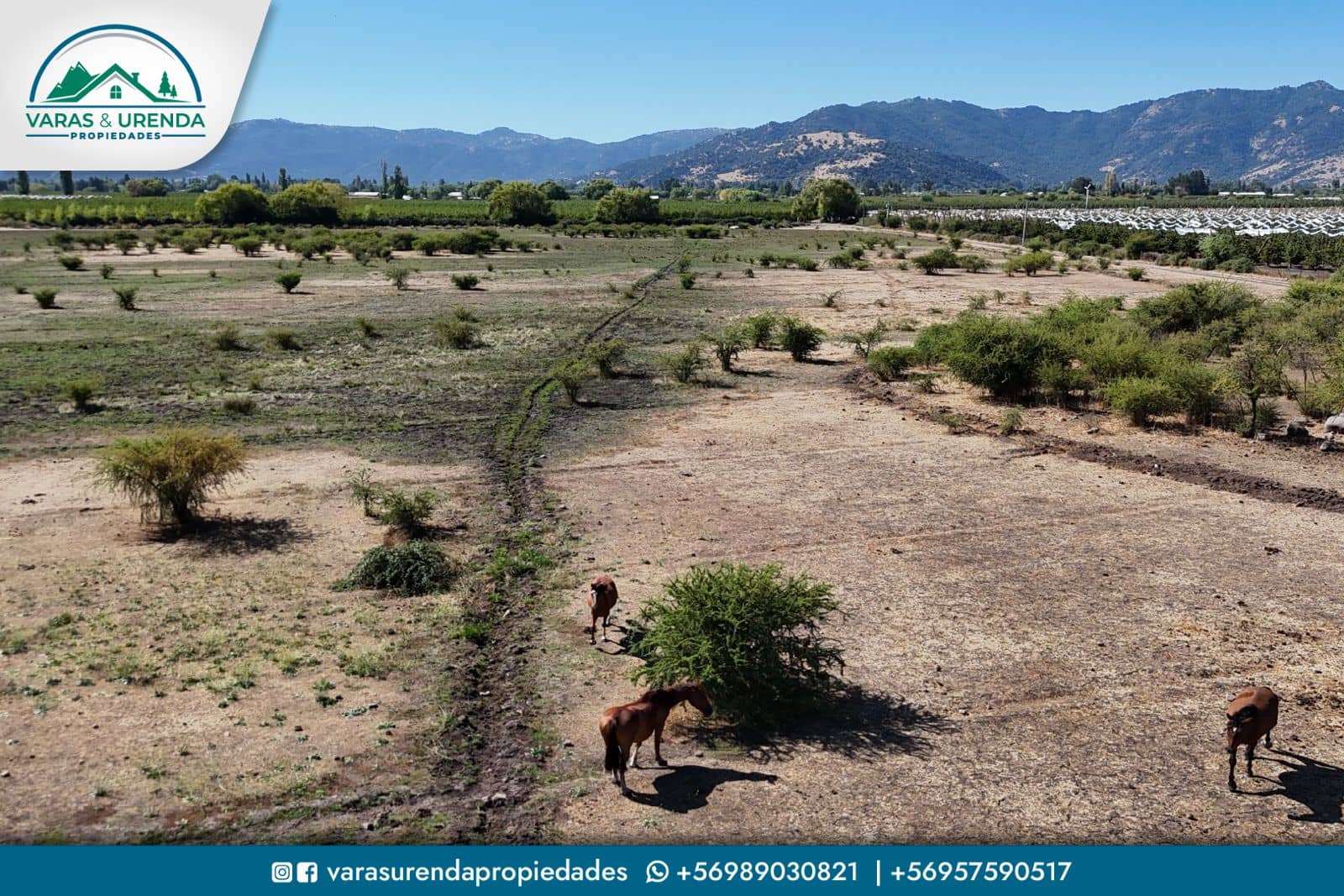 Se Vende parcela de 20,16 hás en Rauco, Sector Quicharco