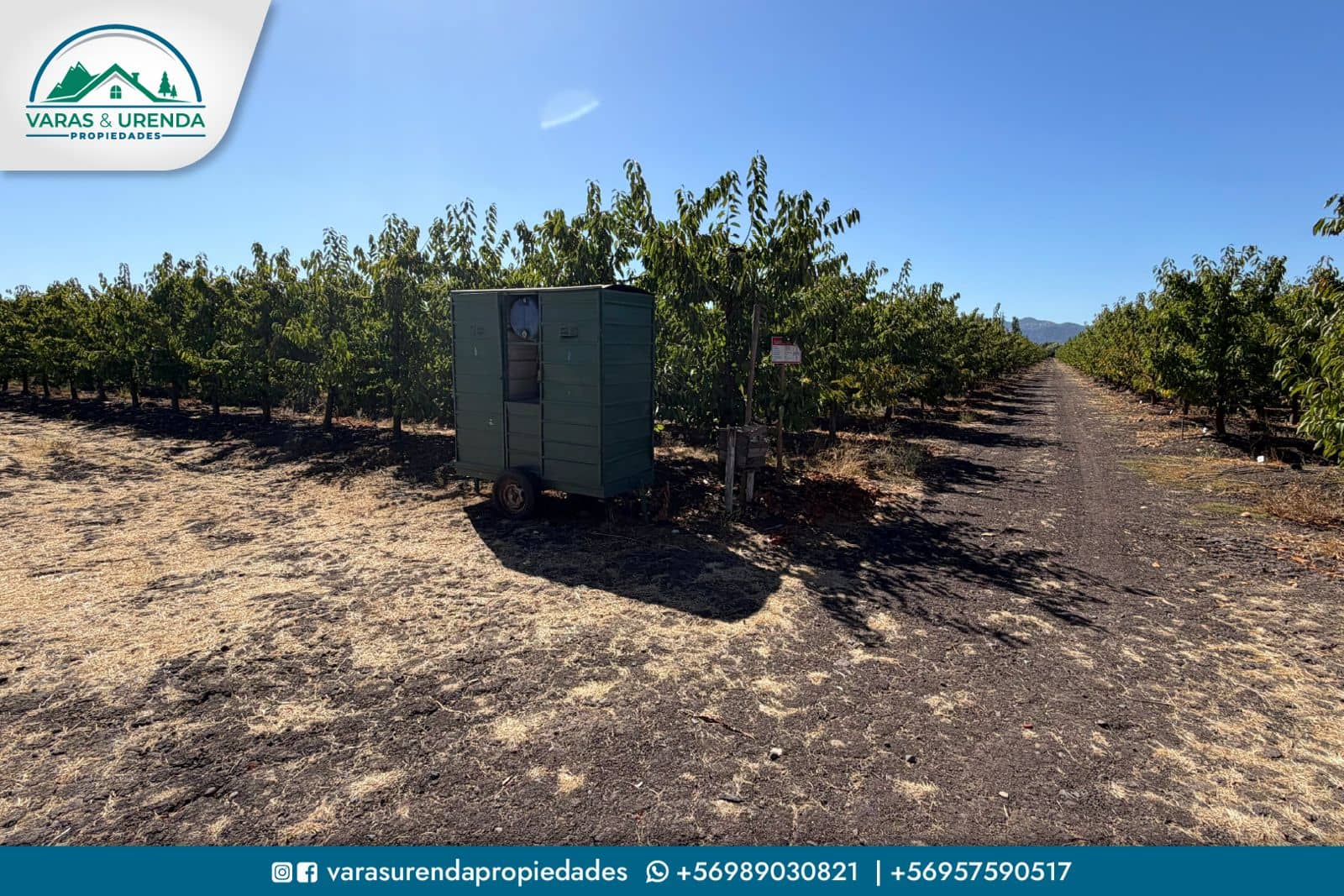 Se Vende parcela de 20,16 hás en Rauco, Sector Quicharco