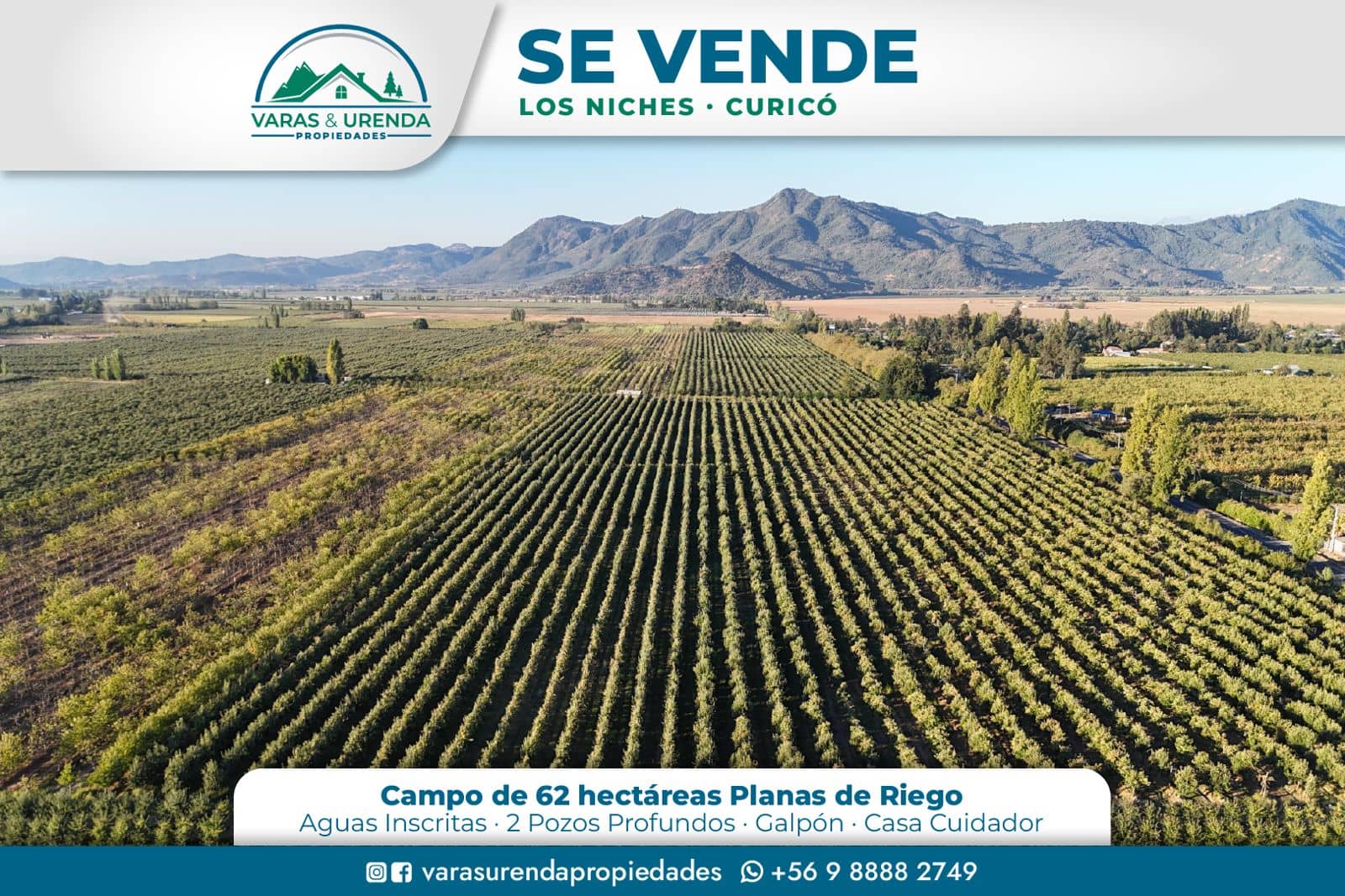 Se Vende espectacular campo 62 hás. en Los Niches, Curicó