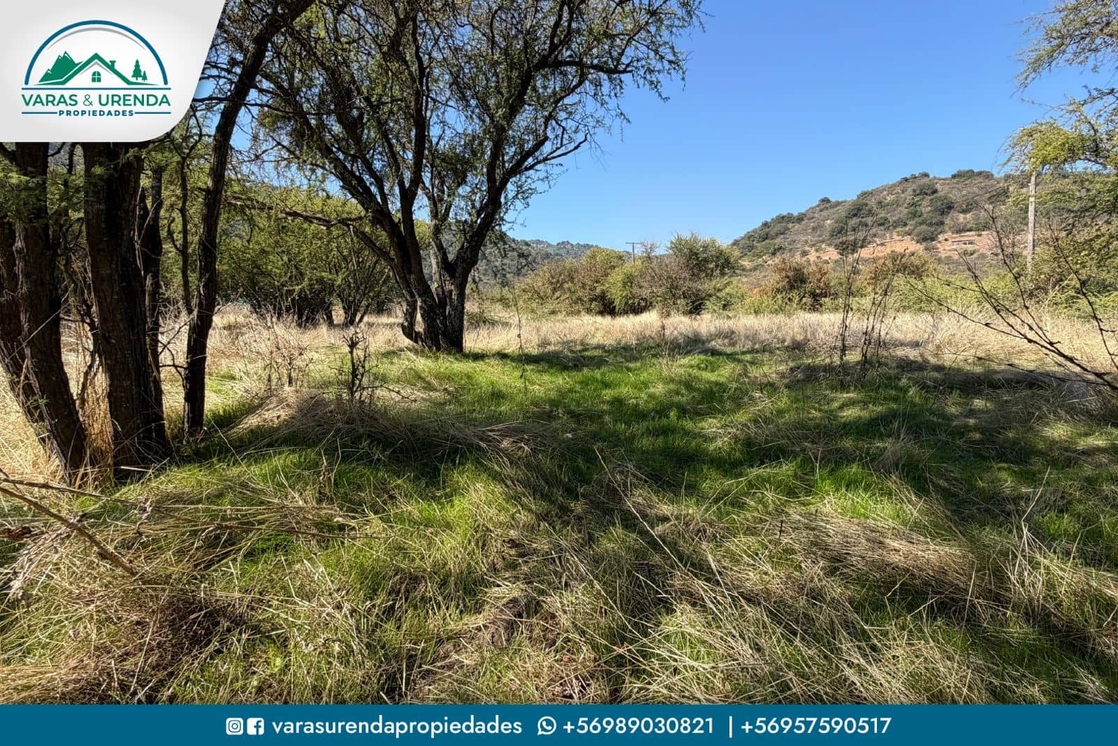 Se Vende sitio plano de 5.001 m2 en Hacienda Zapallar, Curicó