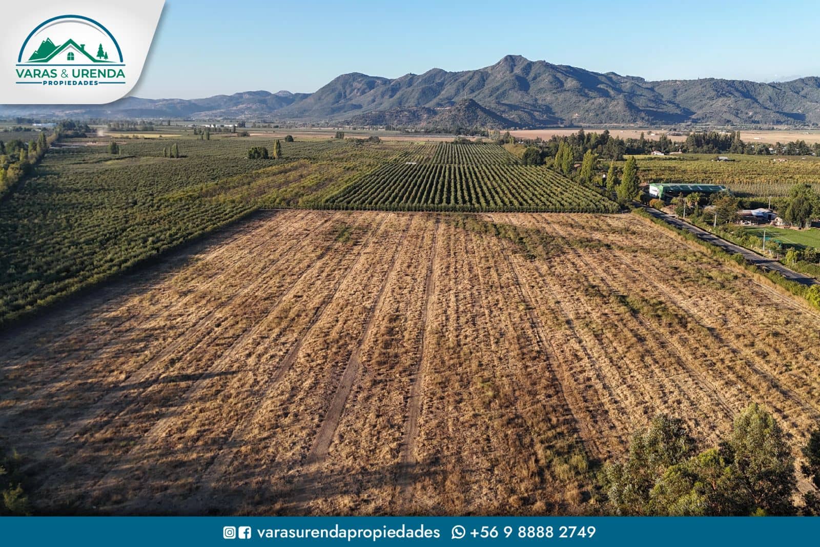 Se Vende espectacular campo 62 hás. en Los Niches, Curicó