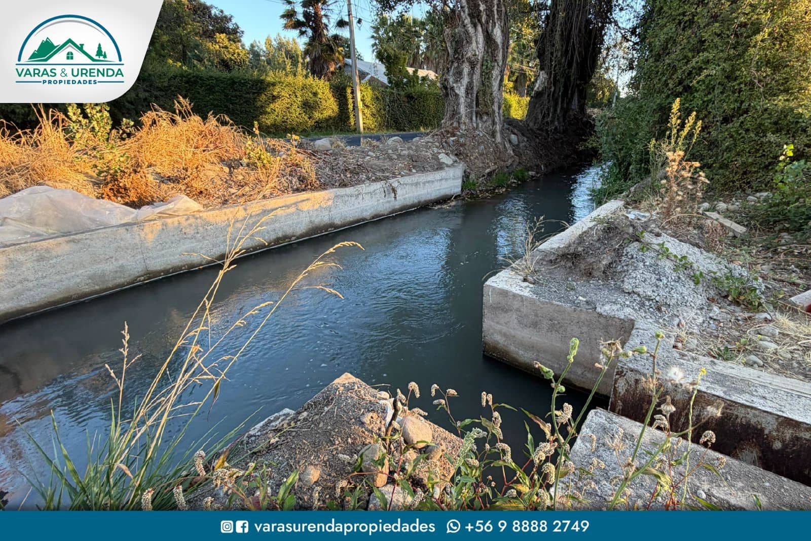 Se Vende espectacular campo 62 hás. en Los Niches, Curicó