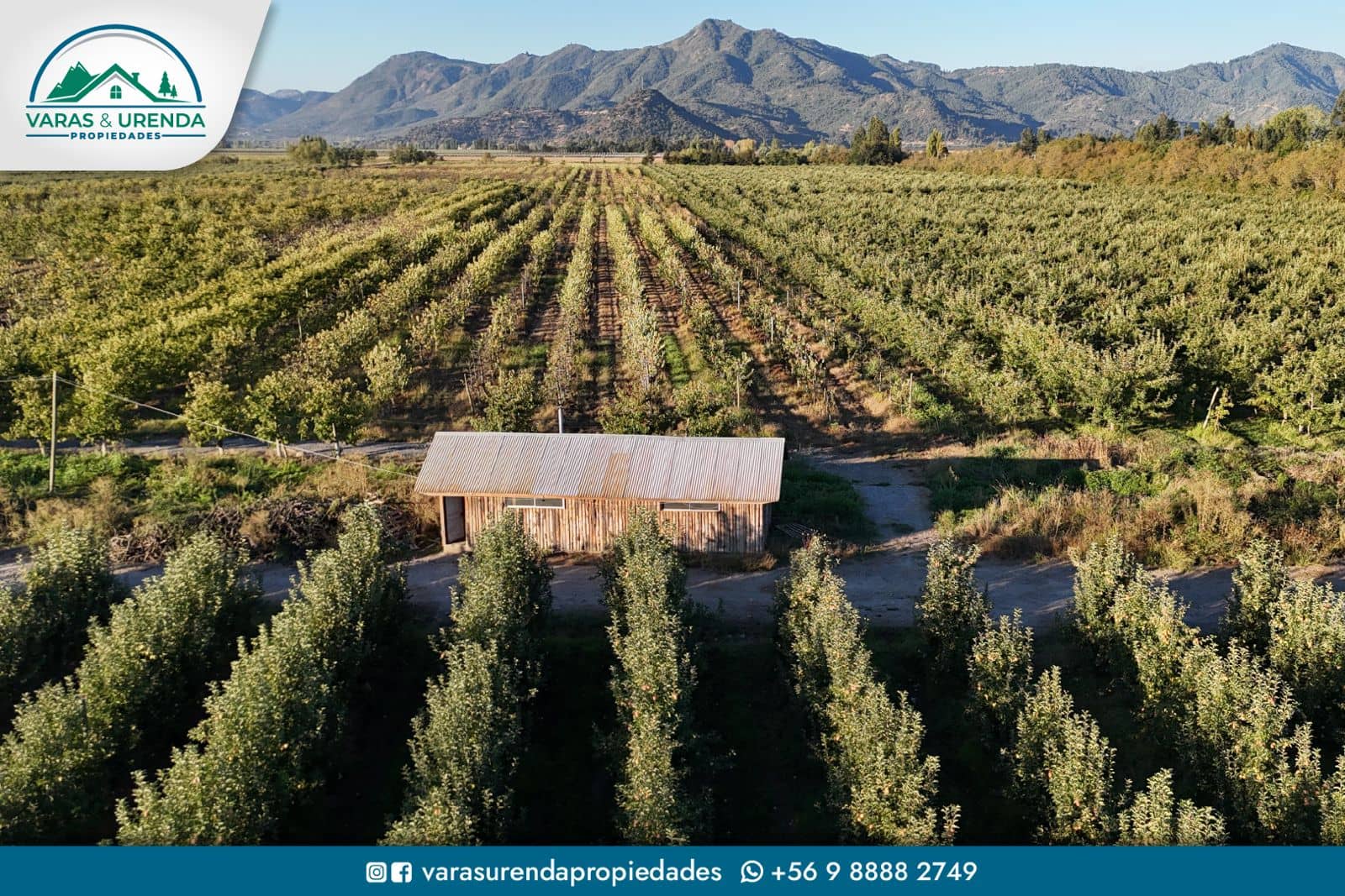 Se Vende espectacular campo 62 hás. en Los Niches, Curicó