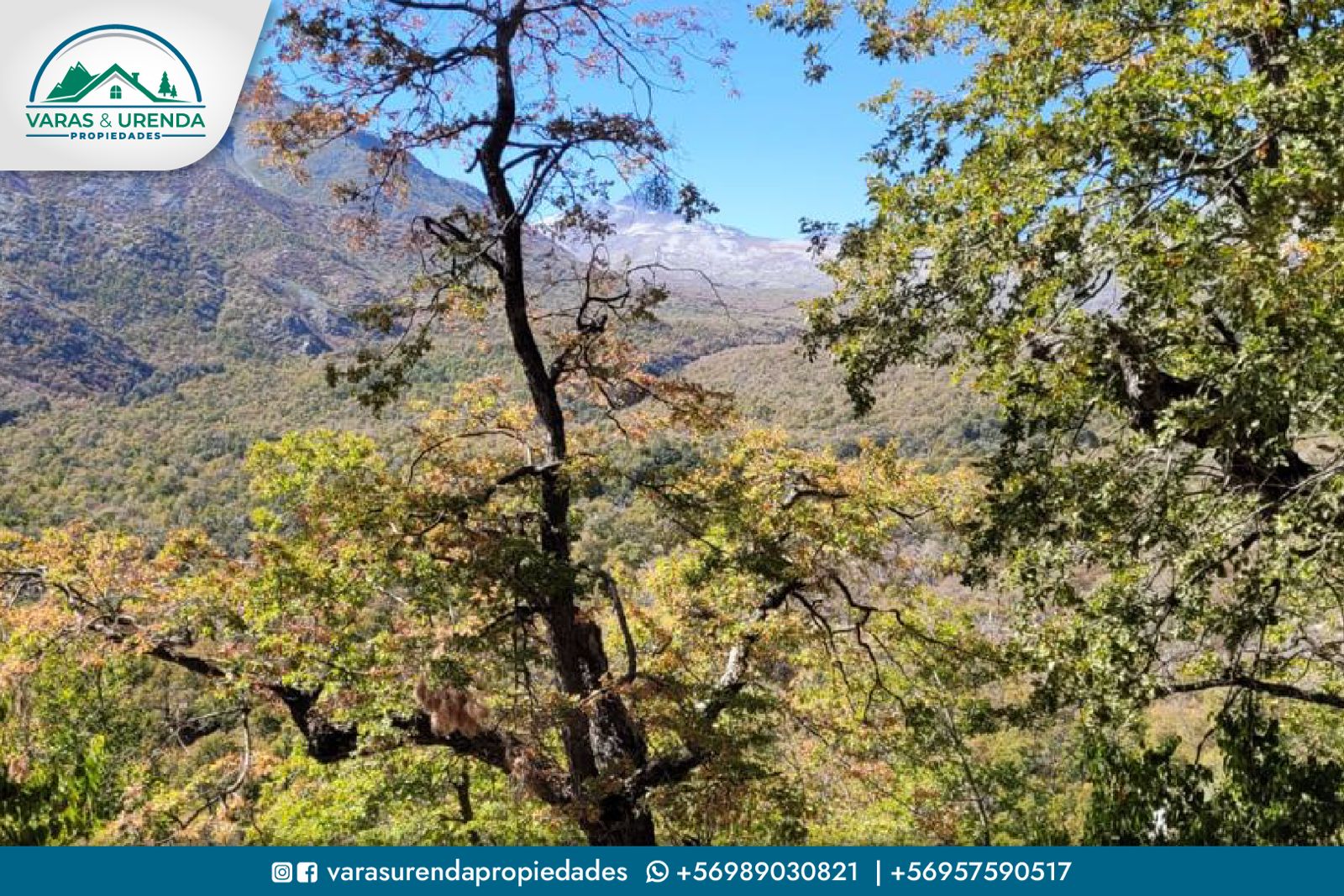 Se Vende excelente parcela de 10.051 m2 con casa rodante en Condominio Entre Parques, Radal 7 Tazas