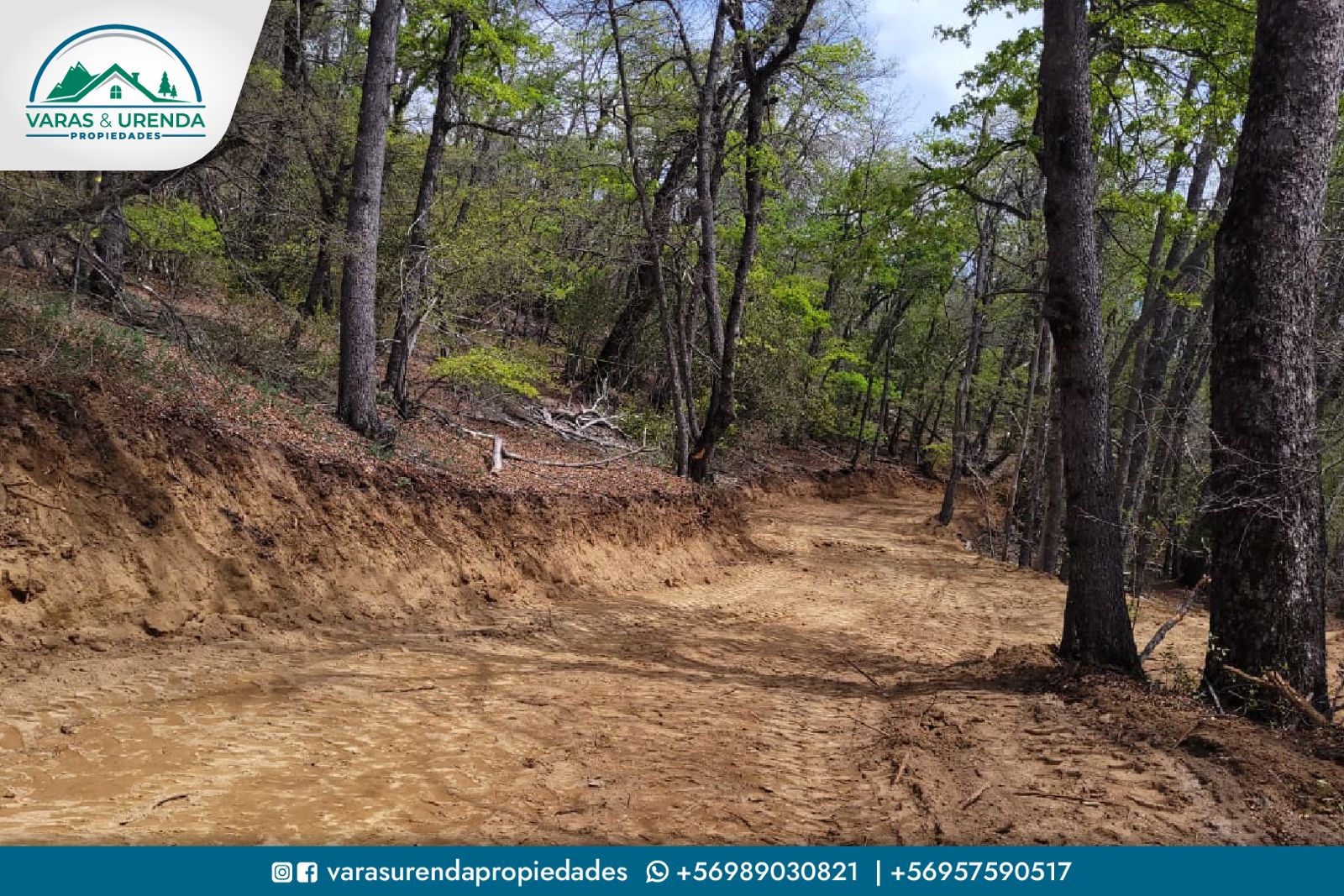 Se Vende excelente parcela de 10.051 m2 con casa rodante en Condominio Entre Parques, Radal 7 Tazas