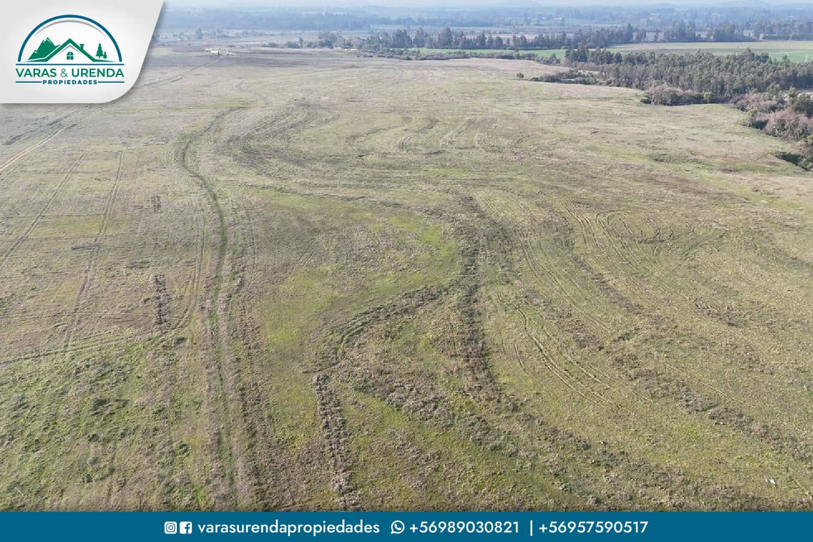 Se Vende excelente parcela de 40 hectáreas en Longaví, Sector Bodega