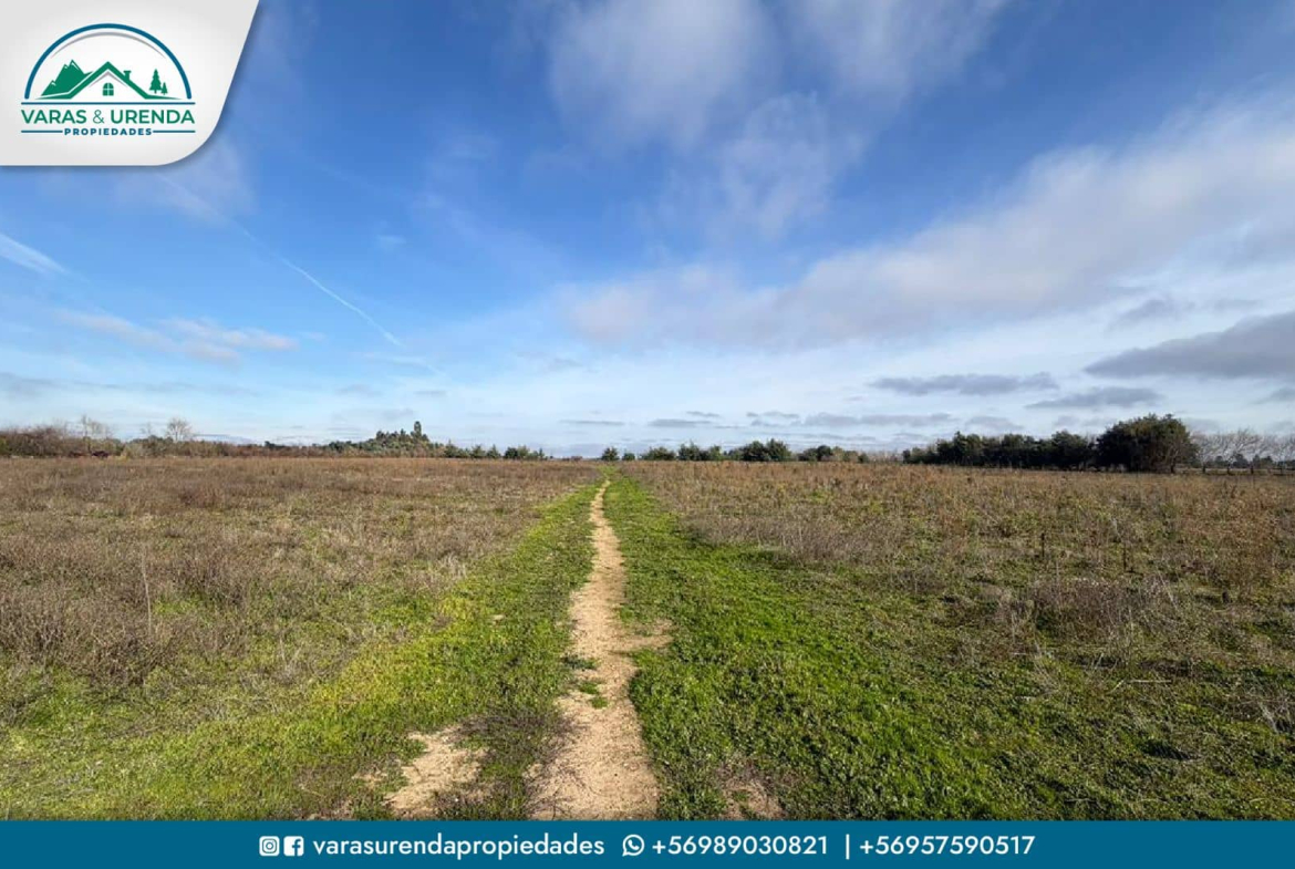 Se Vende excelente parcela de 48 hectáreas en Longaví, Sector Bodega