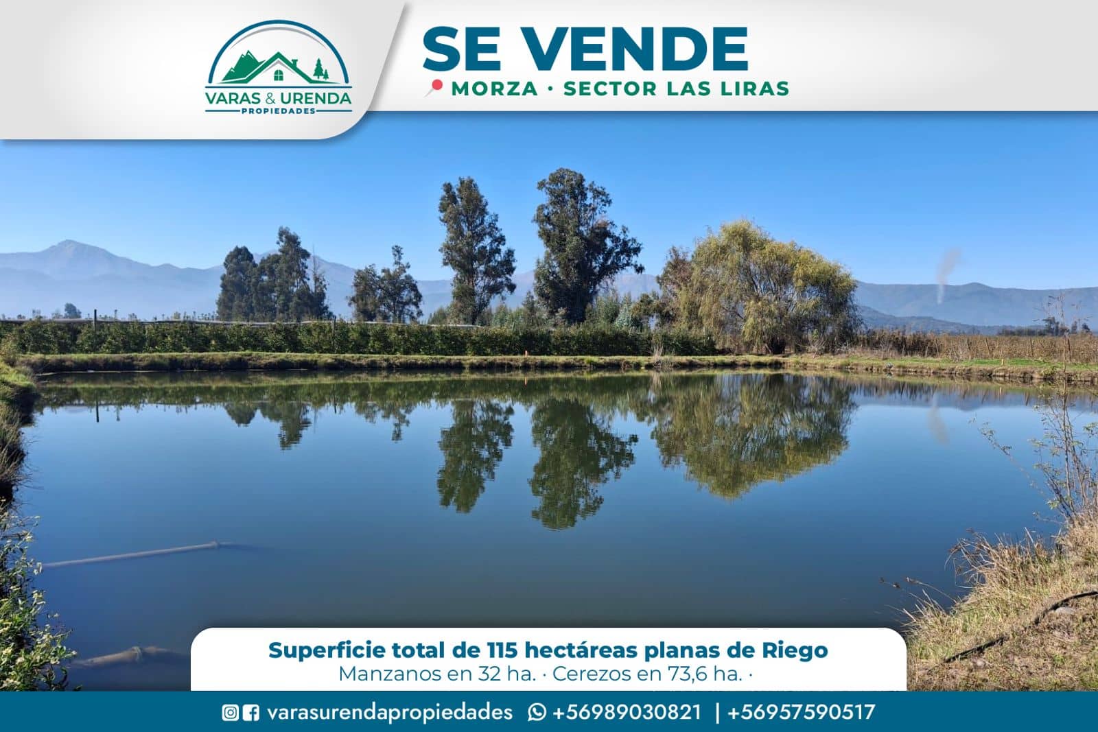 Se Vende campo de 115 hectáreas planas de riego en Morza, sector Las Liras