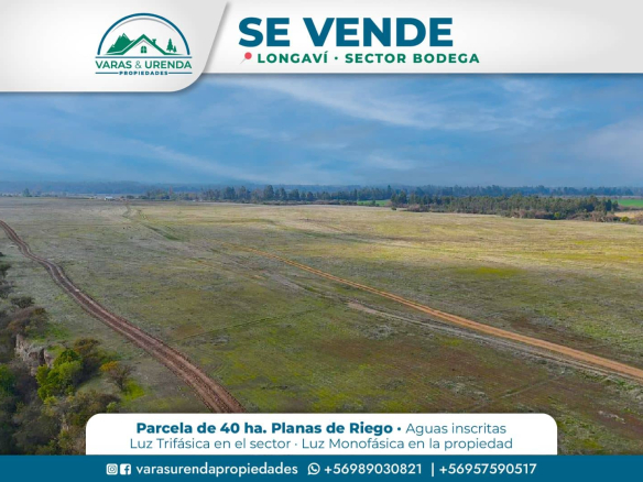 Se Vende excelente parcela de 40 hectáreas en Longaví, Sector Bodega