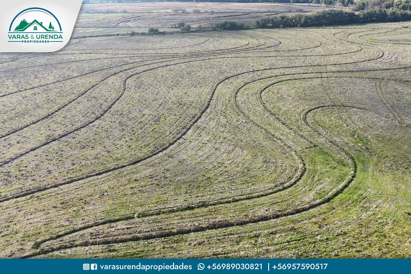 Se Vende excelente parcela de 48 hectáreas en Longaví, Sector Bodega