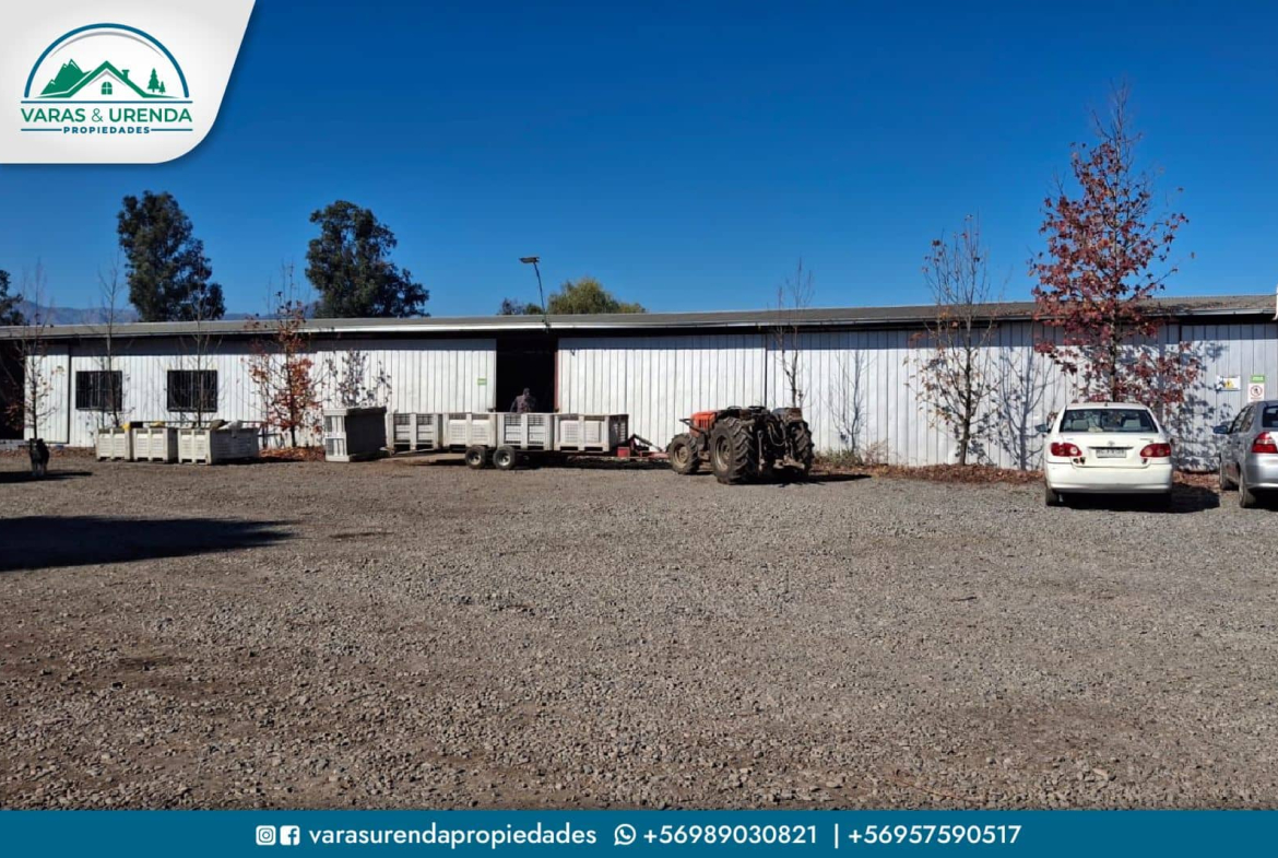 Se Vende campo de 115 hectáreas planas de riego en Morza, sector Las Liras