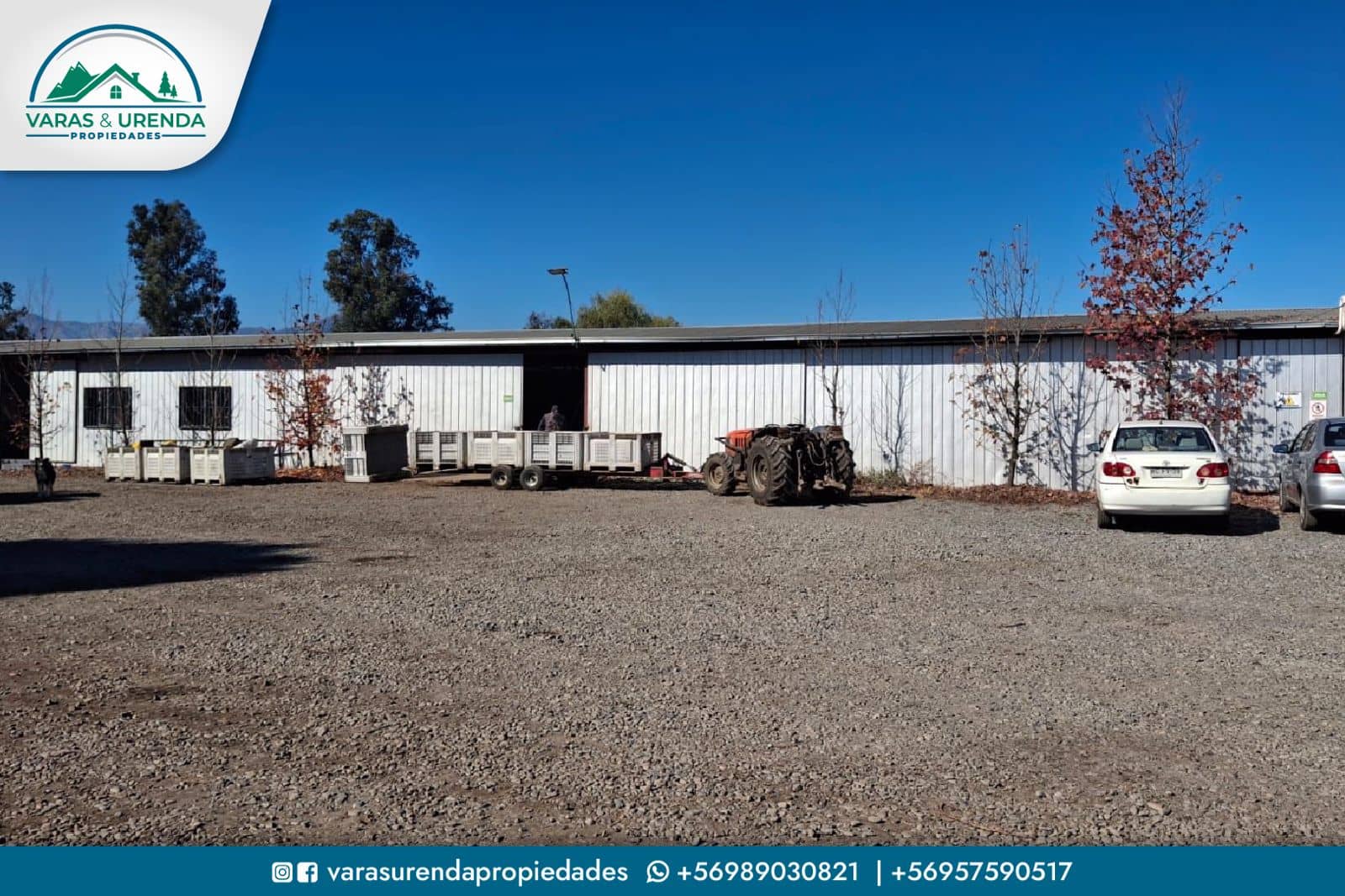 Se Vende campo de 115 hectáreas planas de riego en Morza, sector Las Liras