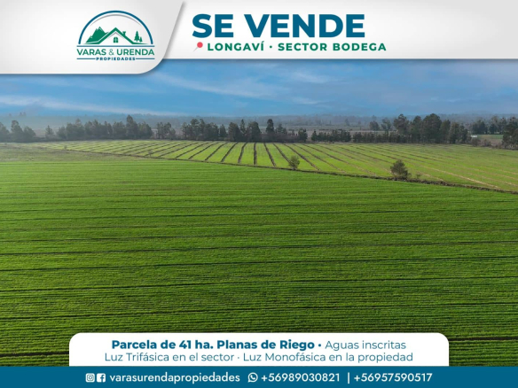 Se Vende linda parcela de 41 hectáreas en Longaví, Sector Bodega