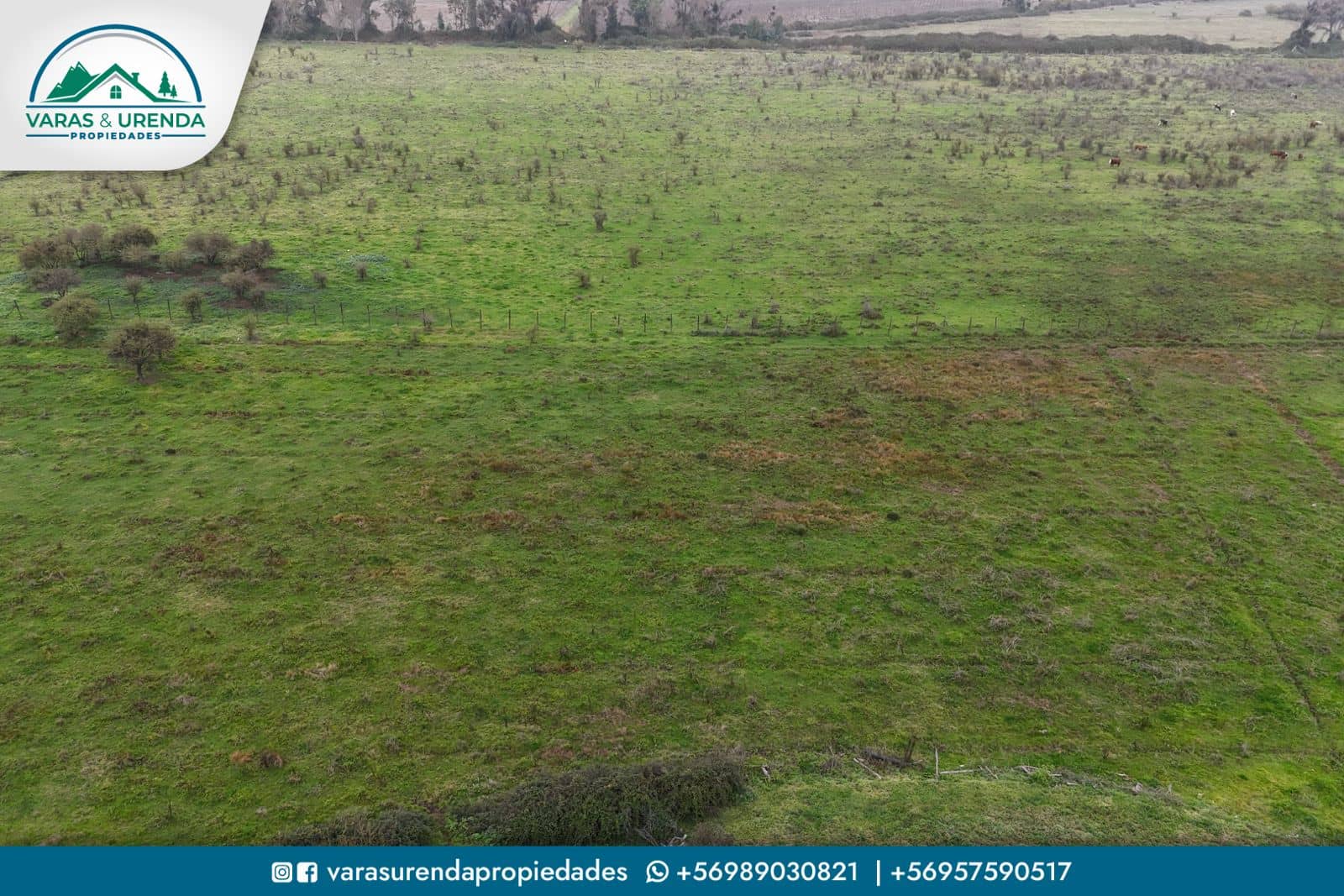 Se Vende linda parcela de 12,7 hectáreas en Sector Comalle, Comuna de Teno