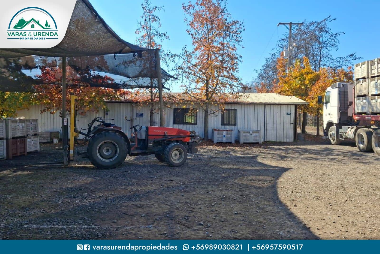 Se Vende campo de 115 hectáreas planas de riego en Morza, sector Las Liras