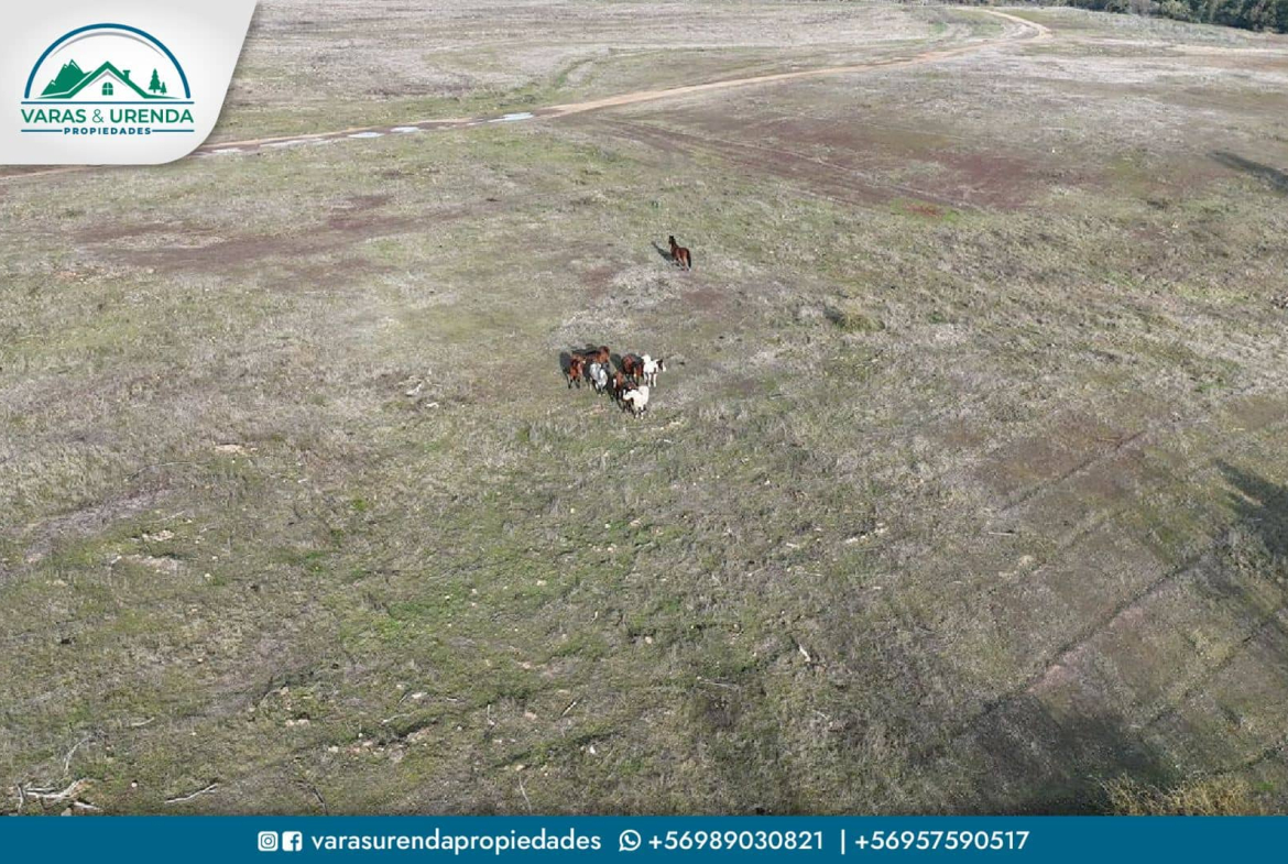 Se Vende excelente parcela de 40 hectáreas en Longaví, Sector Bodega