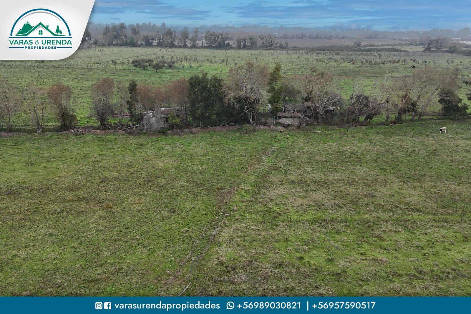 Se Vende linda parcela de 12,7 hectáreas en Sector Comalle, Comuna de Teno