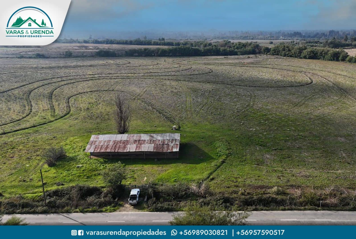 Se Vende excelente parcela de 48 hectáreas en Longaví, Sector Bodega