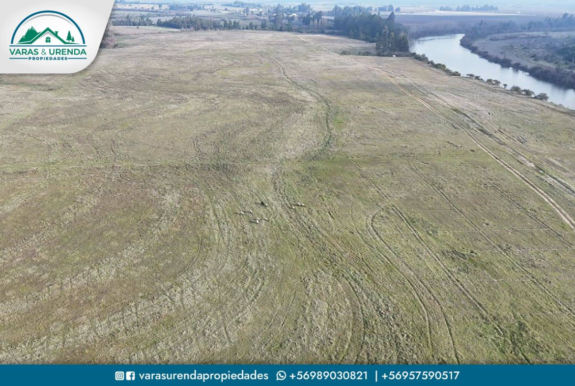Se Vende excelente parcela de 40 hectáreas en Longaví, Sector Bodega