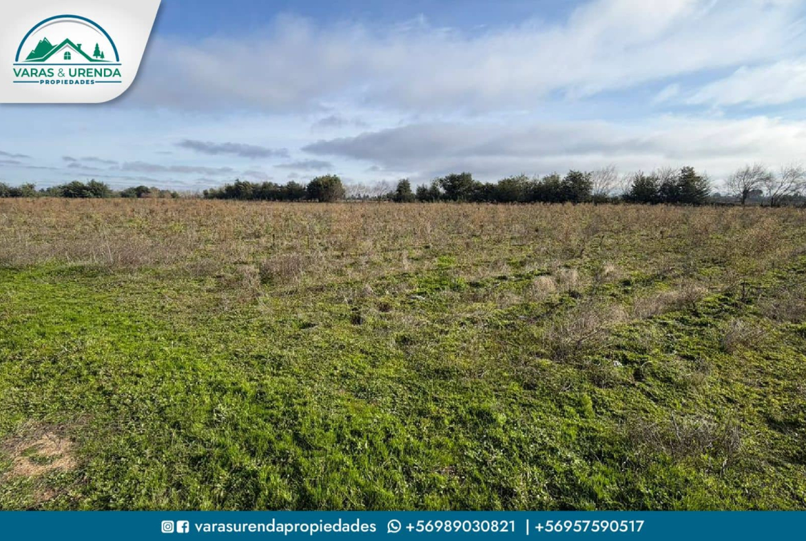Se Vende excelente parcela de 48 hectáreas en Longaví, Sector Bodega