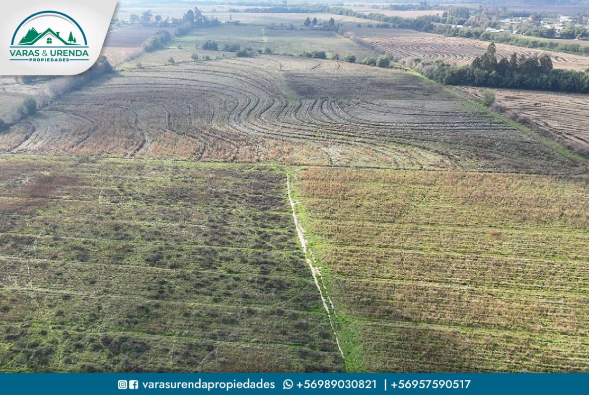 Se Vende excelente parcela de 48 hectáreas en Longaví, Sector Bodega