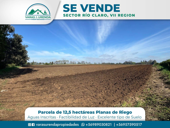 Se Vende linda parcela 12,5 hás. en Sector Río Claro, VII Región
